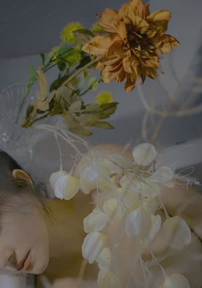 小鱼儿与花无缺免费观看完整版_1080P免费观看韩国